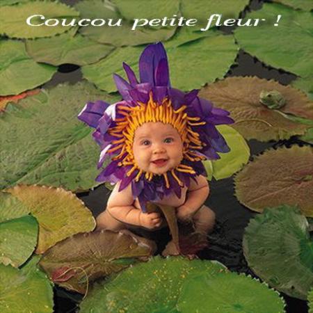 Autre photo